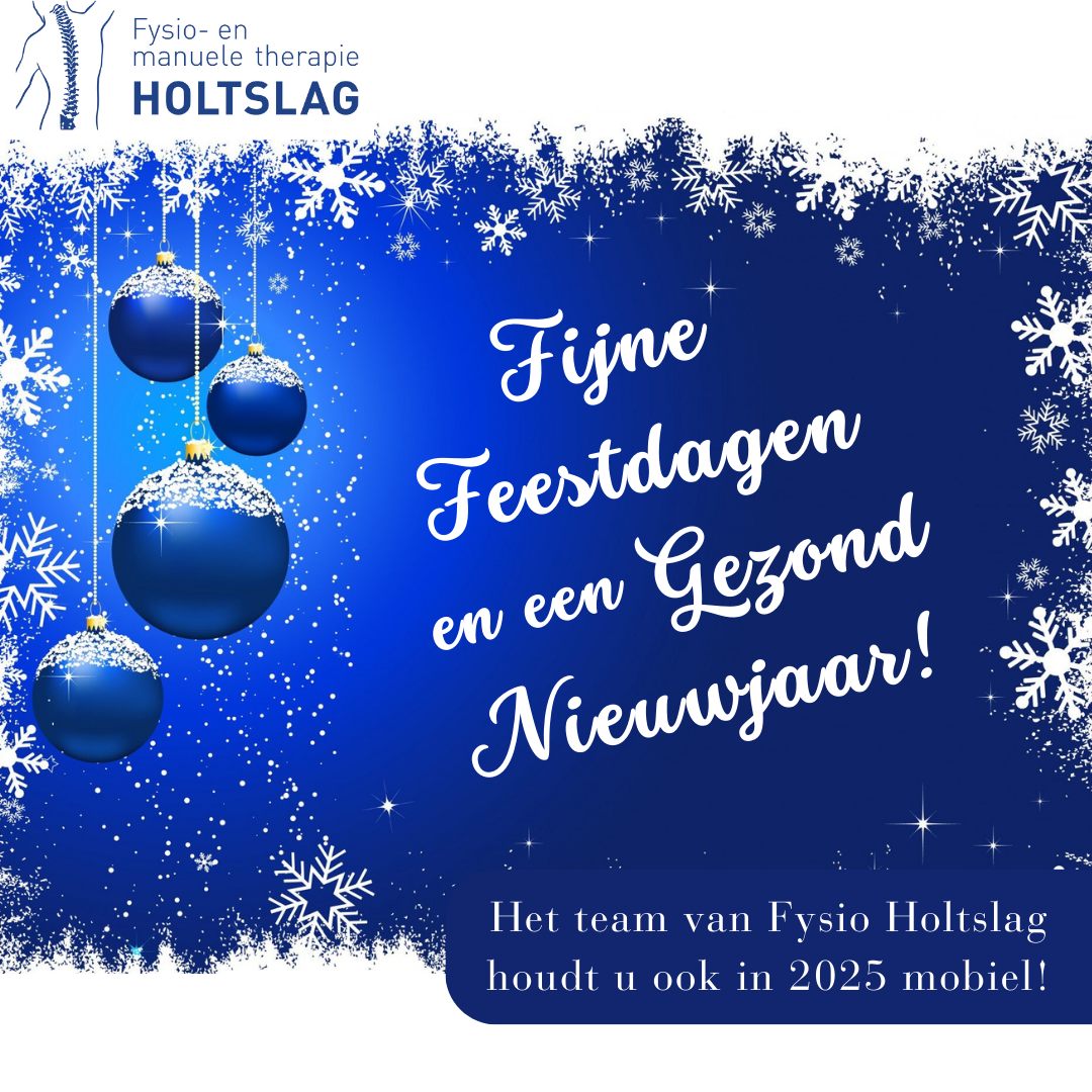 Fijne kerstdagen en een gelukkig en gezond 2025